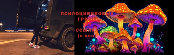 винт Саяногорск