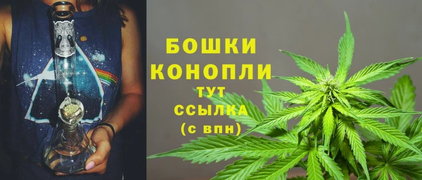 PSILOCYBIN Сафоново