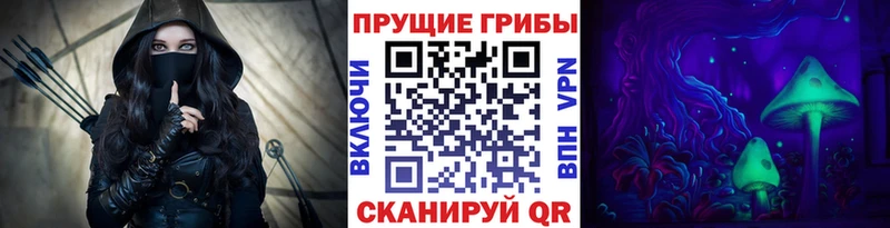 Псилоцибиновые грибы Psilocybe  Купить  Луза 